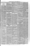 Sidmouth Observer Wednesday 30 January 1895 Page 3