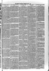 Sidmouth Observer Wednesday 01 May 1895 Page 7