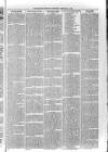 Sidmouth Observer Wednesday 11 September 1895 Page 7