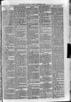 Sidmouth Observer Wednesday 12 February 1896 Page 3