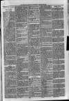 Sidmouth Observer Wednesday 26 February 1896 Page 3