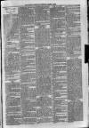 Sidmouth Observer Wednesday 18 March 1896 Page 3