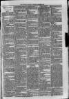 Sidmouth Observer Wednesday 25 March 1896 Page 3