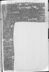 Sidmouth Observer Wednesday 08 April 1896 Page 5