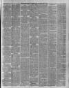 Selby Times Friday 13 April 1894 Page 3