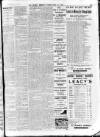 Enniscorthy Echo and South Leinster Advertiser Friday 10 February 1905 Page 15