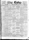 Enniscorthy Echo and South Leinster Advertiser Friday 24 February 1905 Page 1