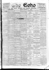 Enniscorthy Echo and South Leinster Advertiser Friday 10 March 1905 Page 1