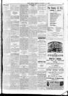 Enniscorthy Echo and South Leinster Advertiser Friday 10 March 1905 Page 15