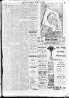 Enniscorthy Echo and South Leinster Advertiser Friday 17 March 1905 Page 9
