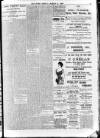 Enniscorthy Echo and South Leinster Advertiser Friday 24 March 1905 Page 11