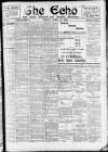 Enniscorthy Echo and South Leinster Advertiser Friday 21 April 1905 Page 1