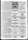 Enniscorthy Echo and South Leinster Advertiser Friday 28 April 1905 Page 11