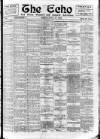 Enniscorthy Echo and South Leinster Advertiser Friday 23 June 1905 Page 1
