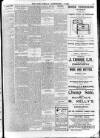 Enniscorthy Echo and South Leinster Advertiser Friday 08 September 1905 Page 11
