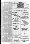 Enniscorthy Echo and South Leinster Advertiser Friday 22 September 1905 Page 13