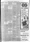 Enniscorthy Echo and South Leinster Advertiser Friday 29 September 1905 Page 7