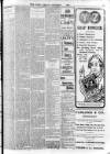 Enniscorthy Echo and South Leinster Advertiser Friday 06 October 1905 Page 11
