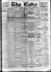 Enniscorthy Echo and South Leinster Advertiser Friday 27 October 1905 Page 1
