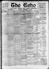 Enniscorthy Echo and South Leinster Advertiser Friday 03 November 1905 Page 1