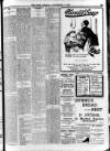 Enniscorthy Echo and South Leinster Advertiser Friday 17 November 1905 Page 11