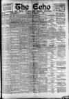 Enniscorthy Echo and South Leinster Advertiser Friday 01 December 1905 Page 1
