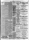 Enniscorthy Echo and South Leinster Advertiser Friday 15 December 1905 Page 11