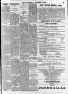 Enniscorthy Echo and South Leinster Advertiser Friday 15 December 1905 Page 13