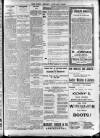 Enniscorthy Echo and South Leinster Advertiser Friday 05 January 1906 Page 13
