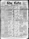 Enniscorthy Echo and South Leinster Advertiser Friday 19 January 1906 Page 1