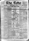 Enniscorthy Echo and South Leinster Advertiser Friday 23 February 1906 Page 1