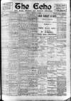 Enniscorthy Echo and South Leinster Advertiser Friday 09 March 1906 Page 1