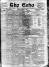 Enniscorthy Echo and South Leinster Advertiser Friday 23 March 1906 Page 1