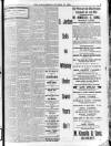 Enniscorthy Echo and South Leinster Advertiser Friday 12 October 1906 Page 9