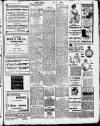 Enniscorthy Echo and South Leinster Advertiser Saturday 26 March 1910 Page 11