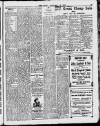 Enniscorthy Echo and South Leinster Advertiser Saturday 15 January 1910 Page 13