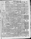 Enniscorthy Echo and South Leinster Advertiser Saturday 22 January 1910 Page 5