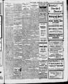 Enniscorthy Echo and South Leinster Advertiser Saturday 22 January 1910 Page 13
