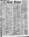 Enniscorthy Echo and South Leinster Advertiser Saturday 29 January 1910 Page 1