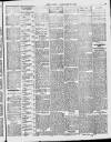 Enniscorthy Echo and South Leinster Advertiser Saturday 29 January 1910 Page 5