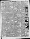 Enniscorthy Echo and South Leinster Advertiser Saturday 12 February 1910 Page 7