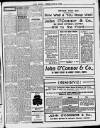 Enniscorthy Echo and South Leinster Advertiser Saturday 12 February 1910 Page 13