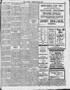 Enniscorthy Echo and South Leinster Advertiser Saturday 26 February 1910 Page 13