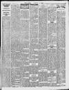 Enniscorthy Echo and South Leinster Advertiser Saturday 05 March 1910 Page 5