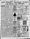 Enniscorthy Echo and South Leinster Advertiser Saturday 05 March 1910 Page 9