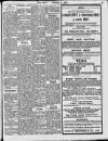 Enniscorthy Echo and South Leinster Advertiser Saturday 05 March 1910 Page 13