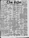 Enniscorthy Echo and South Leinster Advertiser Saturday 12 March 1910 Page 1
