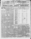 Enniscorthy Echo and South Leinster Advertiser Saturday 19 March 1910 Page 3