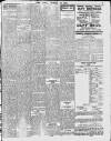 Enniscorthy Echo and South Leinster Advertiser Saturday 19 March 1910 Page 7