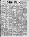 Enniscorthy Echo and South Leinster Advertiser Saturday 26 March 1910 Page 1